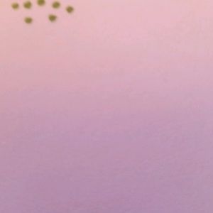 Meet your Posher, Noah